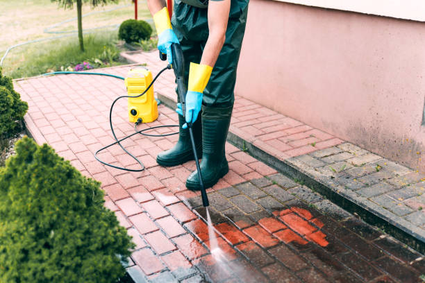 Best Driveway Pressure Washing  in Mahopac, NY